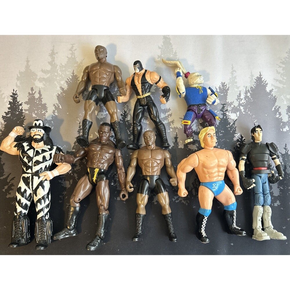 Vintage WWE Action Figures Lot 90s - Present